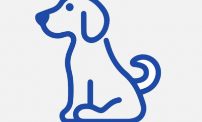 CENTRO CANINO GUFY